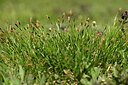 BUITEN BEELD Foto: 446938