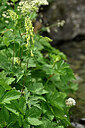BUITEN BEELD Foto: 446940