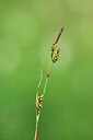 BUITEN BEELD Foto: 446943