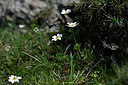 BUITEN BEELD Foto: 446944