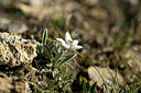 BUITEN BEELD Foto: 446945