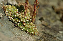 BUITEN BEELD Foto: 446948