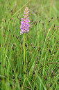 BUITEN BEELD Foto: 446949