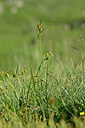 BUITEN BEELD Foto: 446956