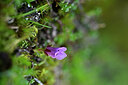 BUITEN BEELD Foto: 446960