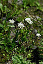 BUITEN BEELD Foto: 446961