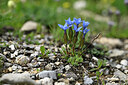 BUITEN BEELD Foto: 446962