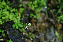 BUITEN BEELD Foto: 446964