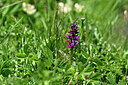 BUITEN BEELD Foto: 446965