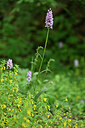 BUITEN BEELD Foto: 446966