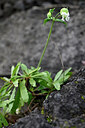 BUITEN BEELD Foto: 446967
