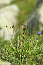 BUITEN BEELD Foto: 446968