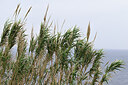 BUITEN BEELD Foto: 446970