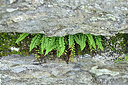 BUITEN BEELD Foto: 446975