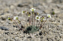 BUITEN BEELD Foto: 446989