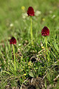 BUITEN BEELD Foto: 446994