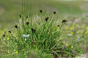 BUITEN BEELD Foto: 446996
