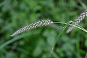 BUITEN BEELD Foto: 447004