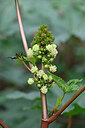 BUITEN BEELD Foto: 447009