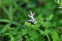 BUITEN BEELD Foto: 447011