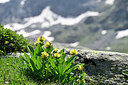 BUITEN BEELD Foto: 447012