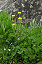 BUITEN BEELD Foto: 447014