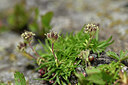 BUITEN BEELD Foto: 447016