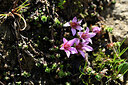 BUITEN BEELD Foto: 447017