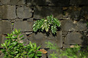 BUITEN BEELD Foto: 447022