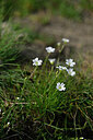 BUITEN BEELD Foto: 447023
