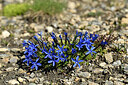 BUITEN BEELD Foto: 447024