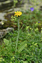 BUITEN BEELD Foto: 447032