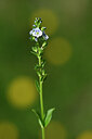 BUITEN BEELD Foto: 447033