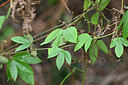 BUITEN BEELD Foto: 447041