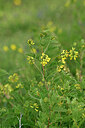 BUITEN BEELD Foto: 447043