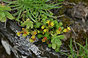 BUITEN BEELD Foto: 447047