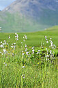 BUITEN BEELD Foto: 447053
