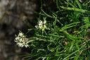 BUITEN BEELD Foto: 447055