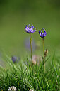 BUITEN BEELD Foto: 447063