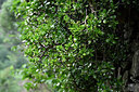 BUITEN BEELD Foto: 447065