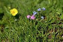 BUITEN BEELD Foto: 447066