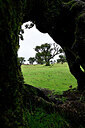 BUITEN BEELD Foto: 447072