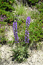 BUITEN BEELD Foto: 447073