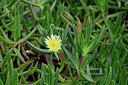 BUITEN BEELD Foto: 447075