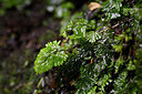 BUITEN BEELD Foto: 447078