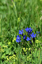 BUITEN BEELD Foto: 447079