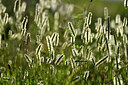 BUITEN BEELD Foto: 447081
