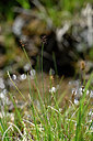 BUITEN BEELD Foto: 447088