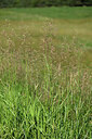 BUITEN BEELD Foto: 447090