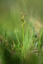 BUITEN BEELD Foto: 447097